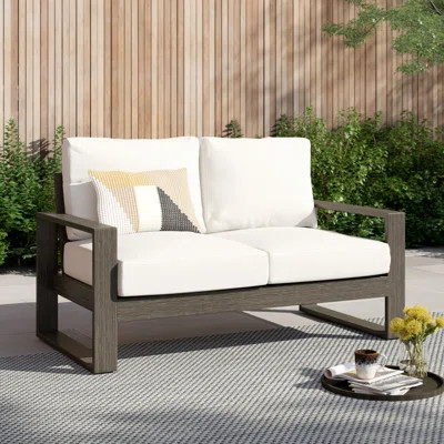 Toyea 55'' Wide Outdoor Loveseat with Cushions | Wayfair North America