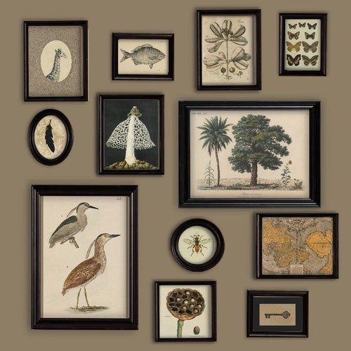 Gallery Wall Curio Miscellaneous Brown Neutral Theme Trees Bird Fish | Etsy (US)
