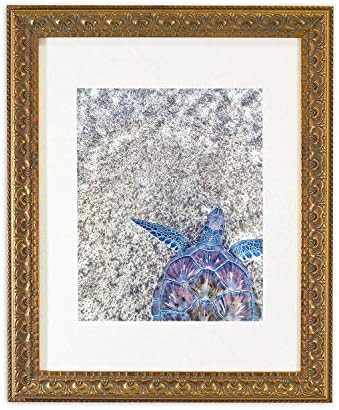Golden State Art, Photo Frame with White Mat for Picture & Real Glass for Wall Display - Home or ... | Amazon (US)