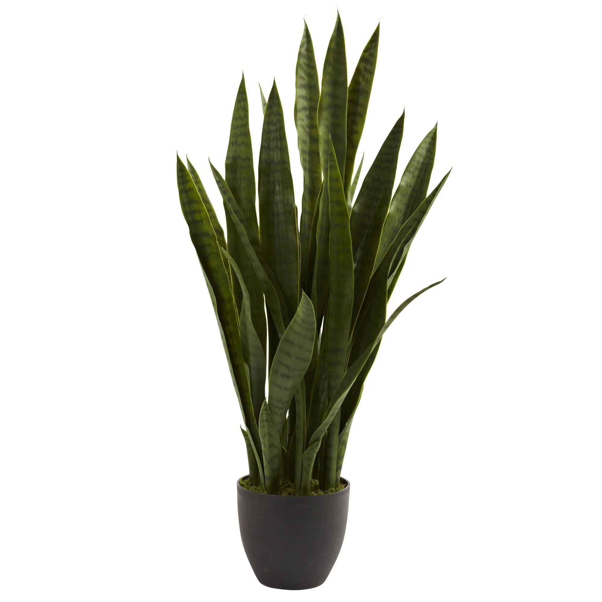 Sansevieria w/Black Planter | Nearly Natural | Nearly Natural