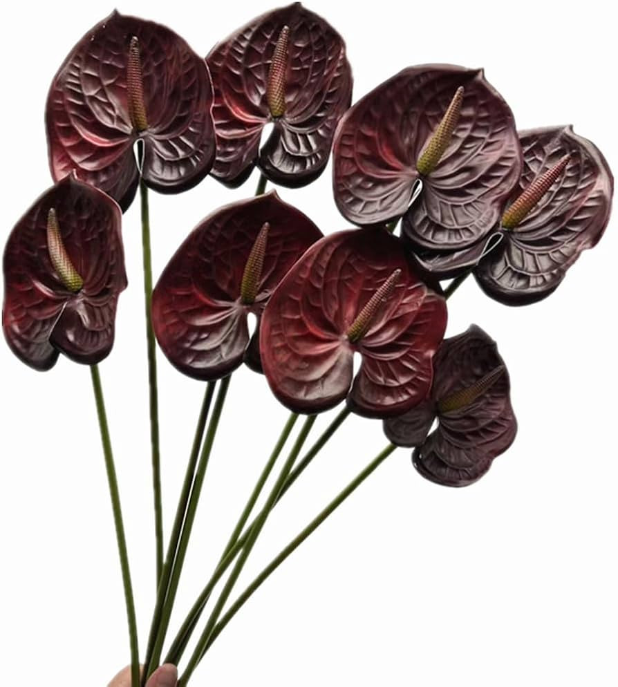 8pcs Burgundy Anthurium Artificial Flowers Lifelike Fake Flowers 5.5" Head for Table Centerpieces... | Amazon (US)