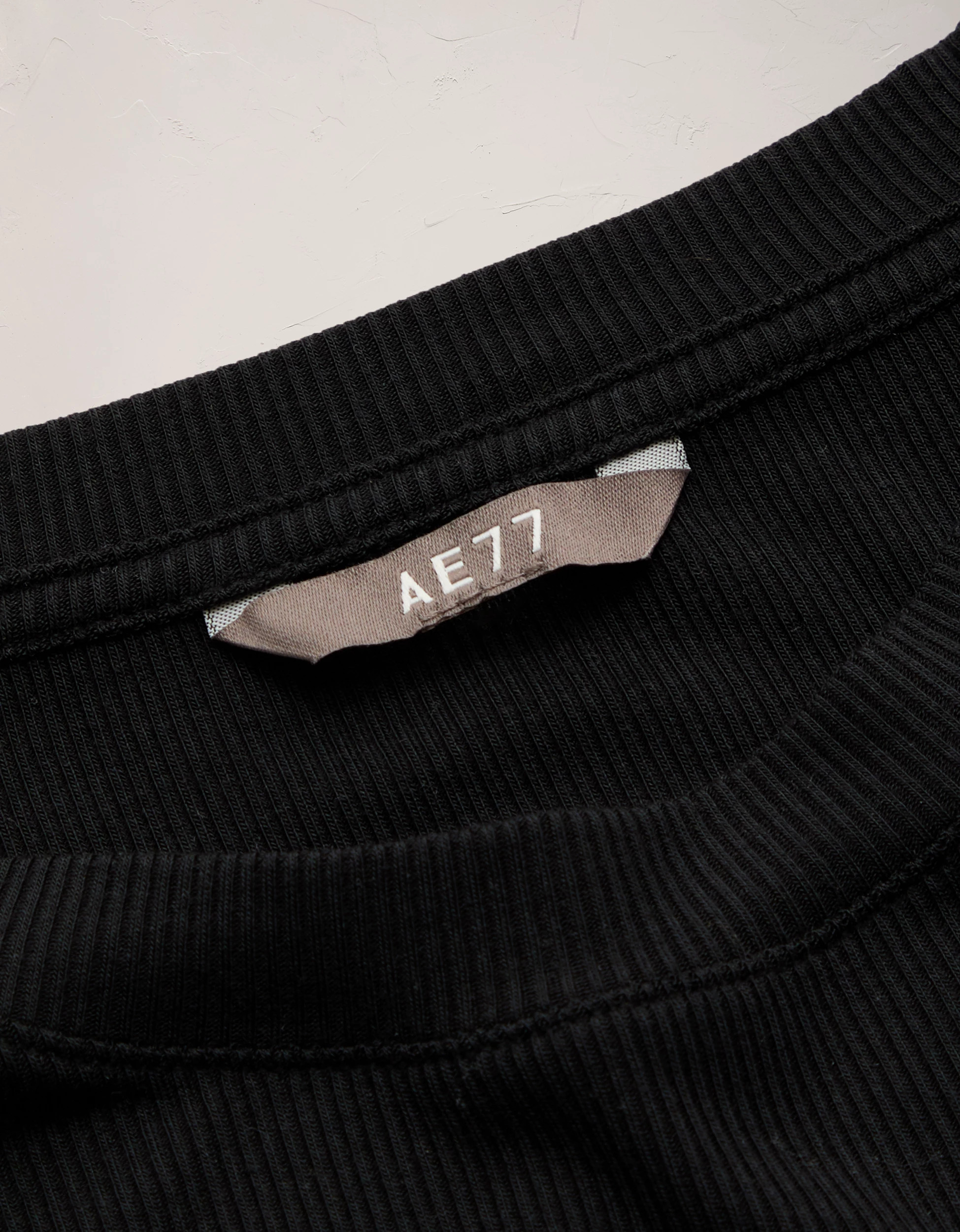 AE77 Premium Ribbed T-Shirt | American Eagle Outfitters (US & CA)