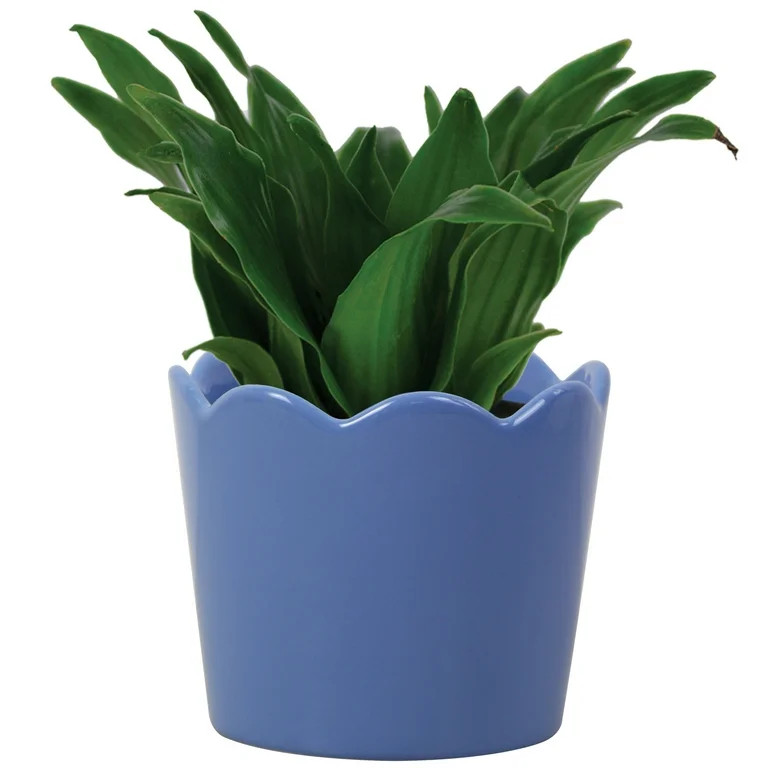 Mainstays Small 6in Diameter Round Blue Scallop Ceramic Planter | Walmart (US)