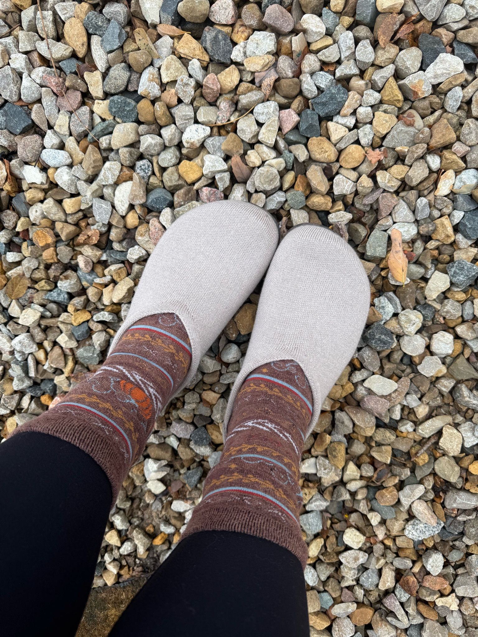 the only clog you will need this fall! 

Rothy - they run big! I’m typically a 6 1/2-7 and I sized down to a 6 and they are perfect!!!
sweatshirt- sized up to a medium, but TTS
aerie leggings-TTS small

#LTKShoeCrush #LTKSeasonal