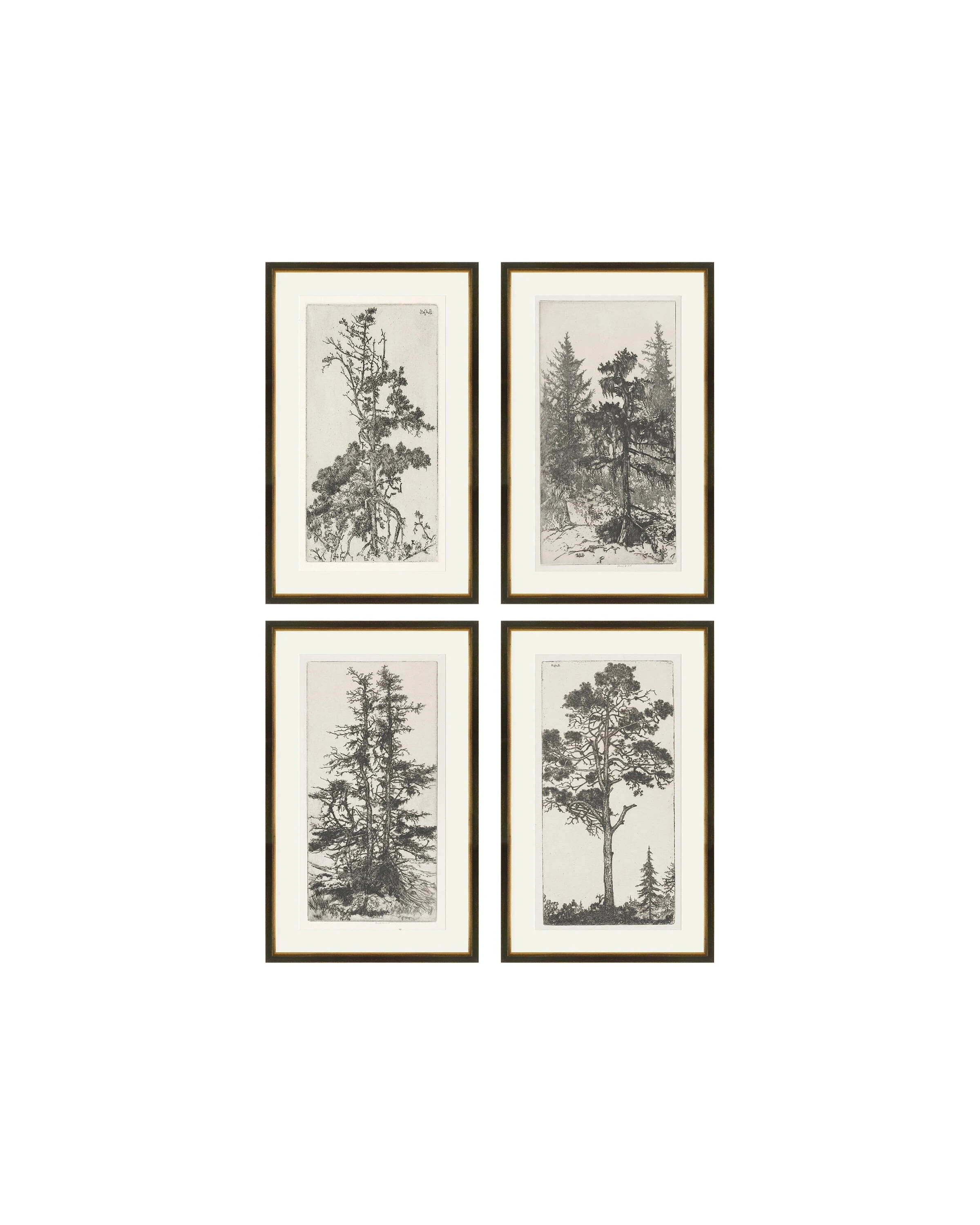 Set of 4 Trees Etchings, Vintage Trees Prints, Gallery Wall Vintage Art, Set of 4 wall art, Set of 4 prints, Trees Drawings Set of Four Art | Etsy (Global)
