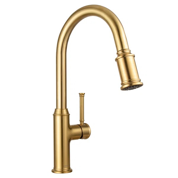 KF421-SG Pull Down Single Handle Kitchen Faucet with Accessories | Wayfair North America