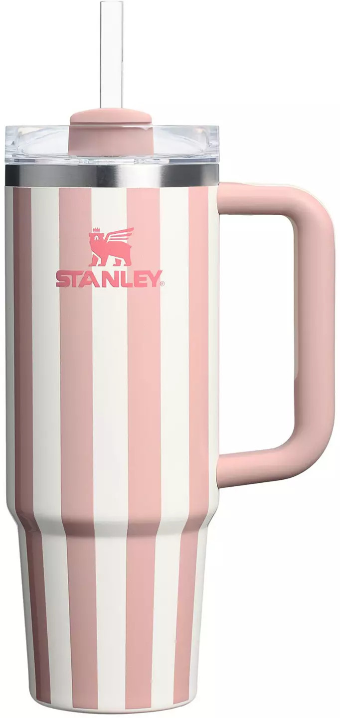 Stanley 30 oz. Quencher H2.0 FlowState Tumbler - Oasis Collection | DICK'S Sporting Goods