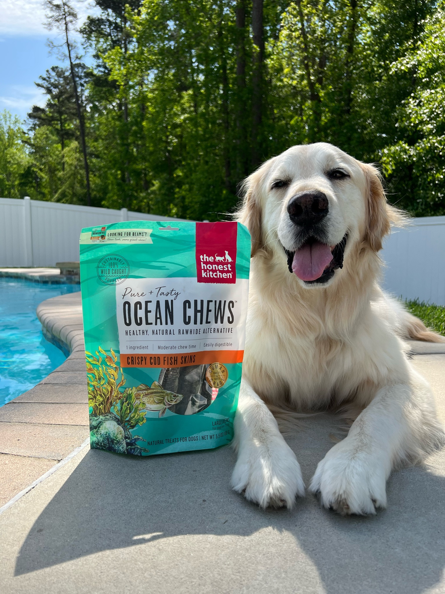 Want a treat your dog will love but is safe on the stomach? These ocean chews take about 10 minutes to eat and are loved by all! #honestkitchen #LTKpets #LTKdog