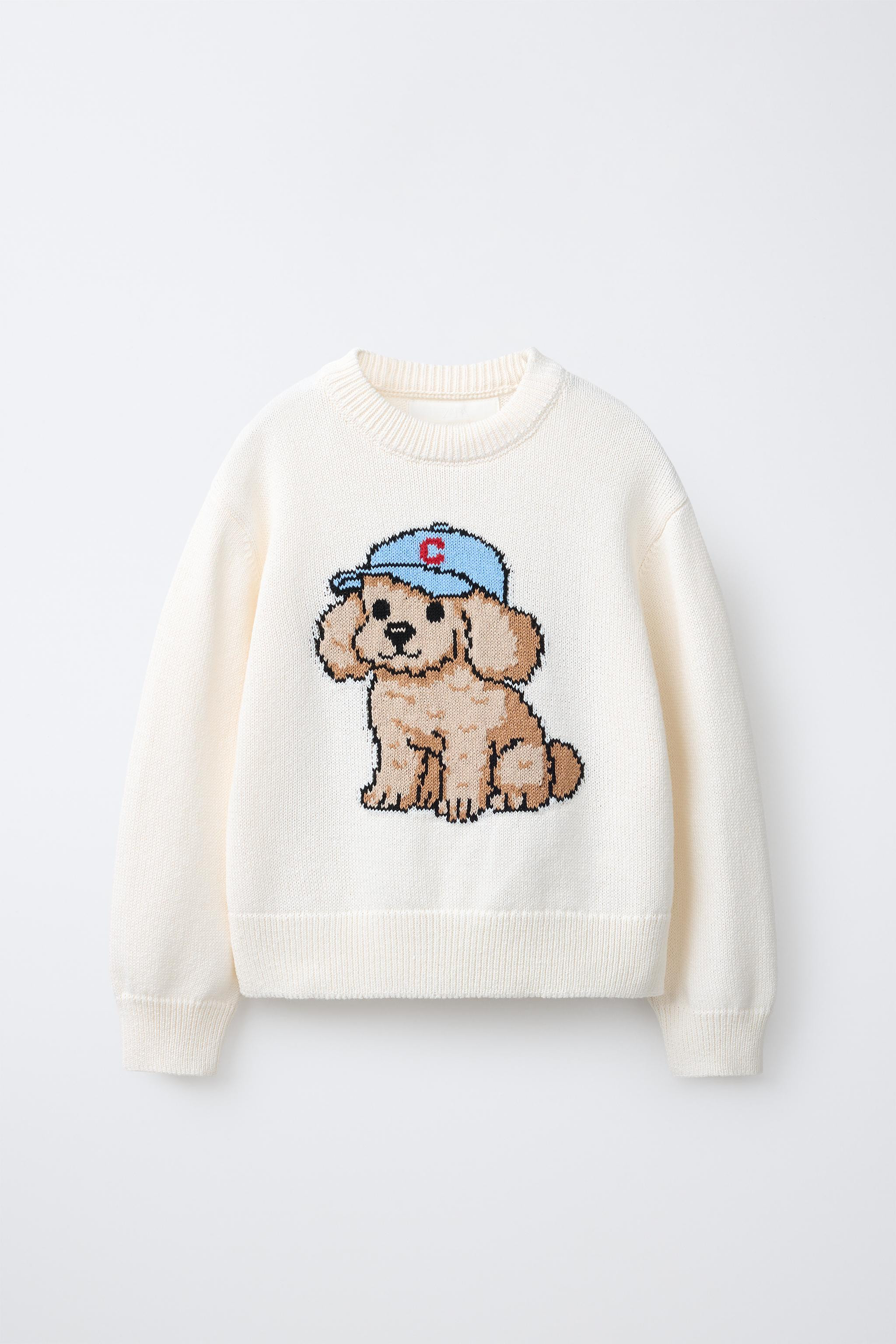 PULL EN MAILLE CHIEN | Zara FR