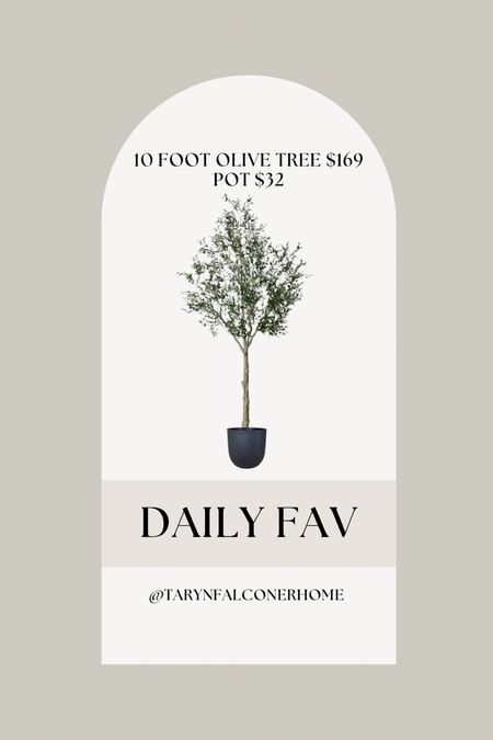 10 foot olive tree and pot!

Olive tree, greenery, faux tree, home decor, home find, affordable decor

#LTKhome