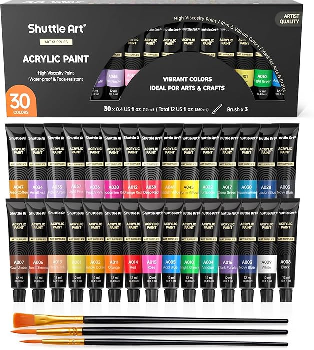 Shuttle Art Acrylic Paint Set, 30 x12ml Tubes Artist Quality Non Toxic Rich Pigments Colors Great... | Amazon (US)
