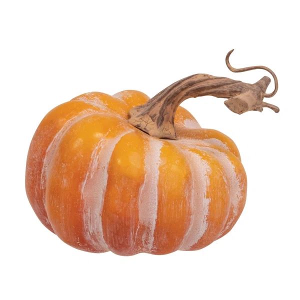 Pumpkins In Bag | Wayfair North America