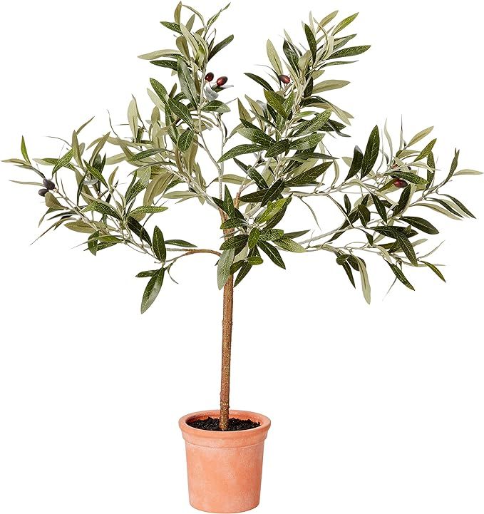 Amazon Brand - Stone & Beam Artificial Olive Tree Topiary with Faux Terracotta Pot, 2.4 Feet (28.... | Amazon (US)