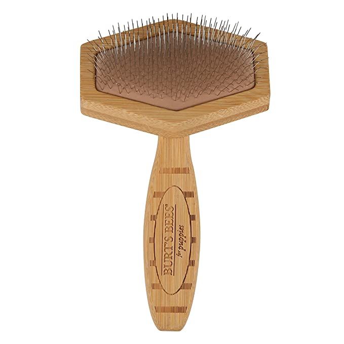 Burt's Bees for Puppies Slicker Brush for Dogs | Dog Slicker Brush, Safe for Puppies | Puppy Brus... | Amazon (US)