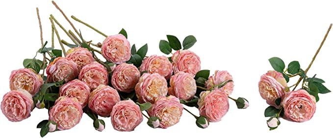 SHUOTAO Artificial Flowers Fake Silk Austin Rose for Decoration 12 Heads Blooming Faux Flower Bou... | Amazon (US)