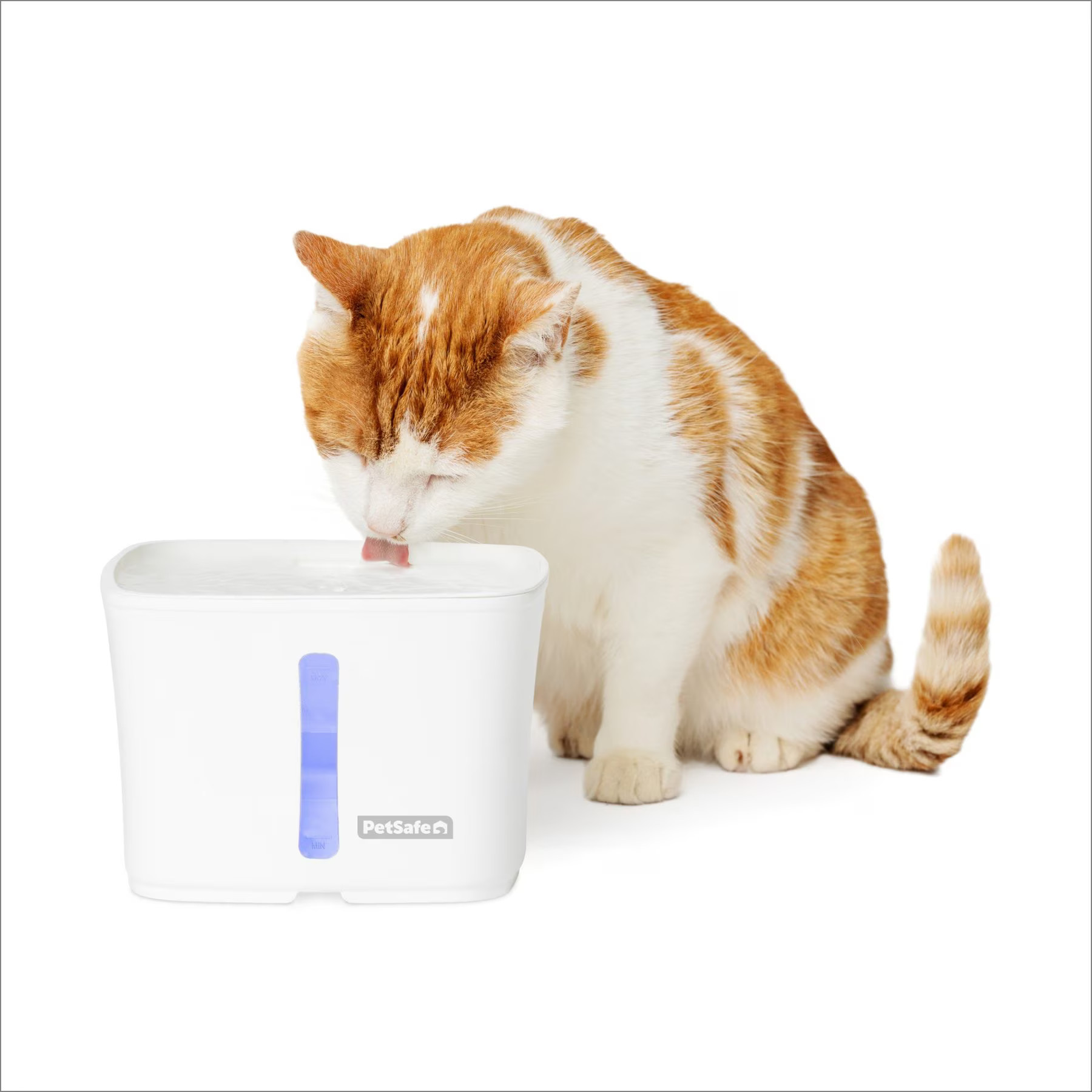 PetSafe Viva Plastic Cat & Dog Fountain, White, 64-oz | Chewy