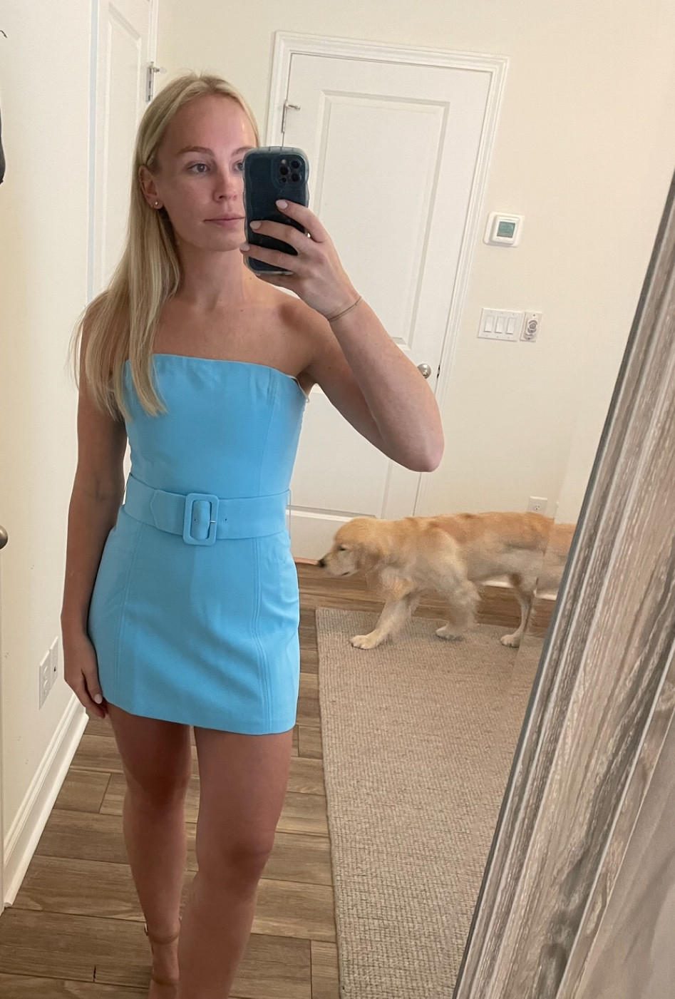 Blue mini dress 🐬 (dog not included)

#LTKStyleTip #LTKSeasonal #LTKWedding