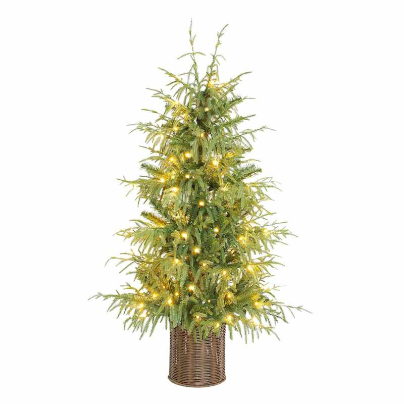 Pre-Lit Starry Norway Potted Tree, 4', Green, Plastic, sold by At Home | At Home