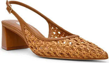 Robyn Pointed Toe Slingback Pump (Women) | Nordstrom