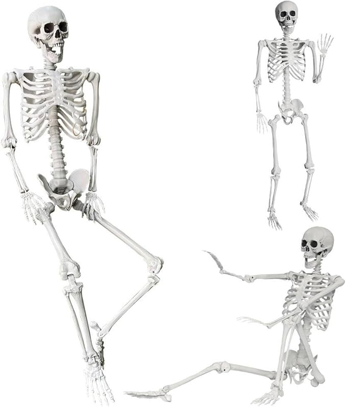 Wocst 5.4Ft/165cm Halloween Skeleton Full Body Life Size Human Bones with Movable Joints for Indo... | Amazon (US)