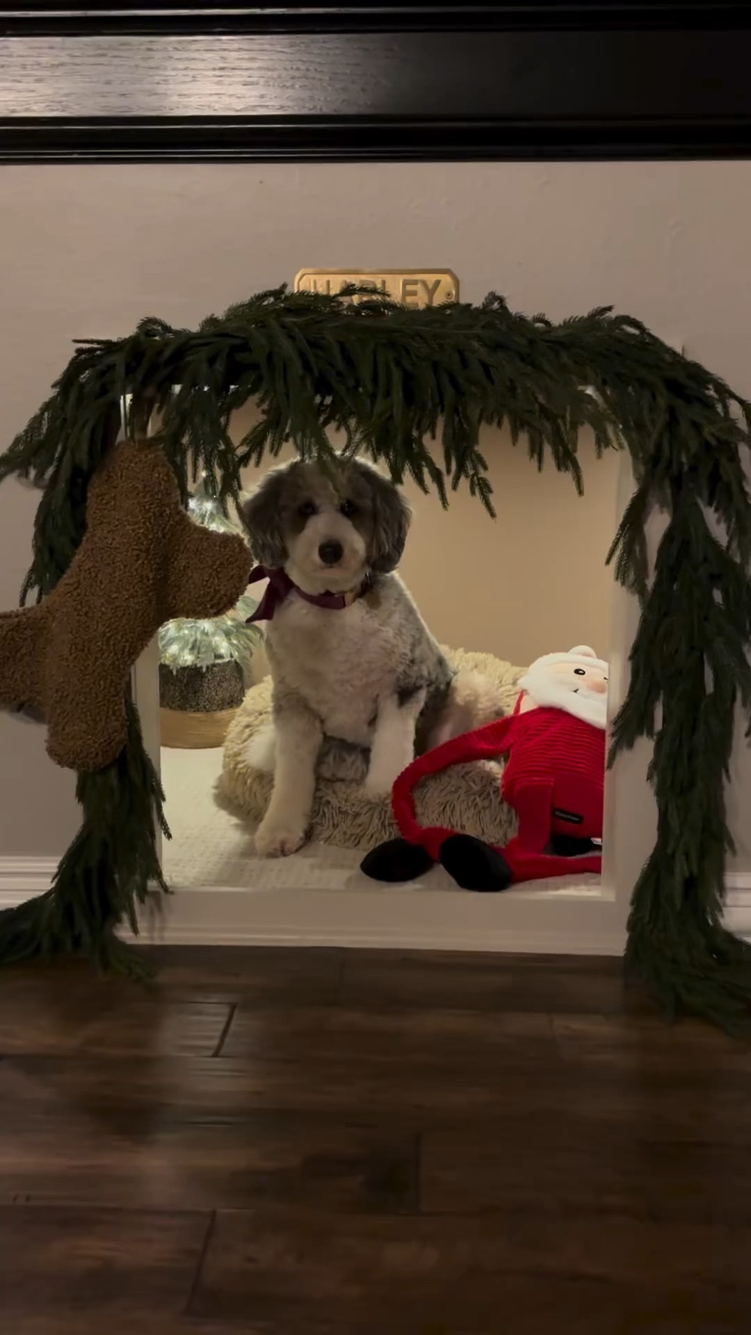 Harley’s den is all decorated for Christmas! 🌲


#LTKhome #LTKHoliday #LTKSeasonal
