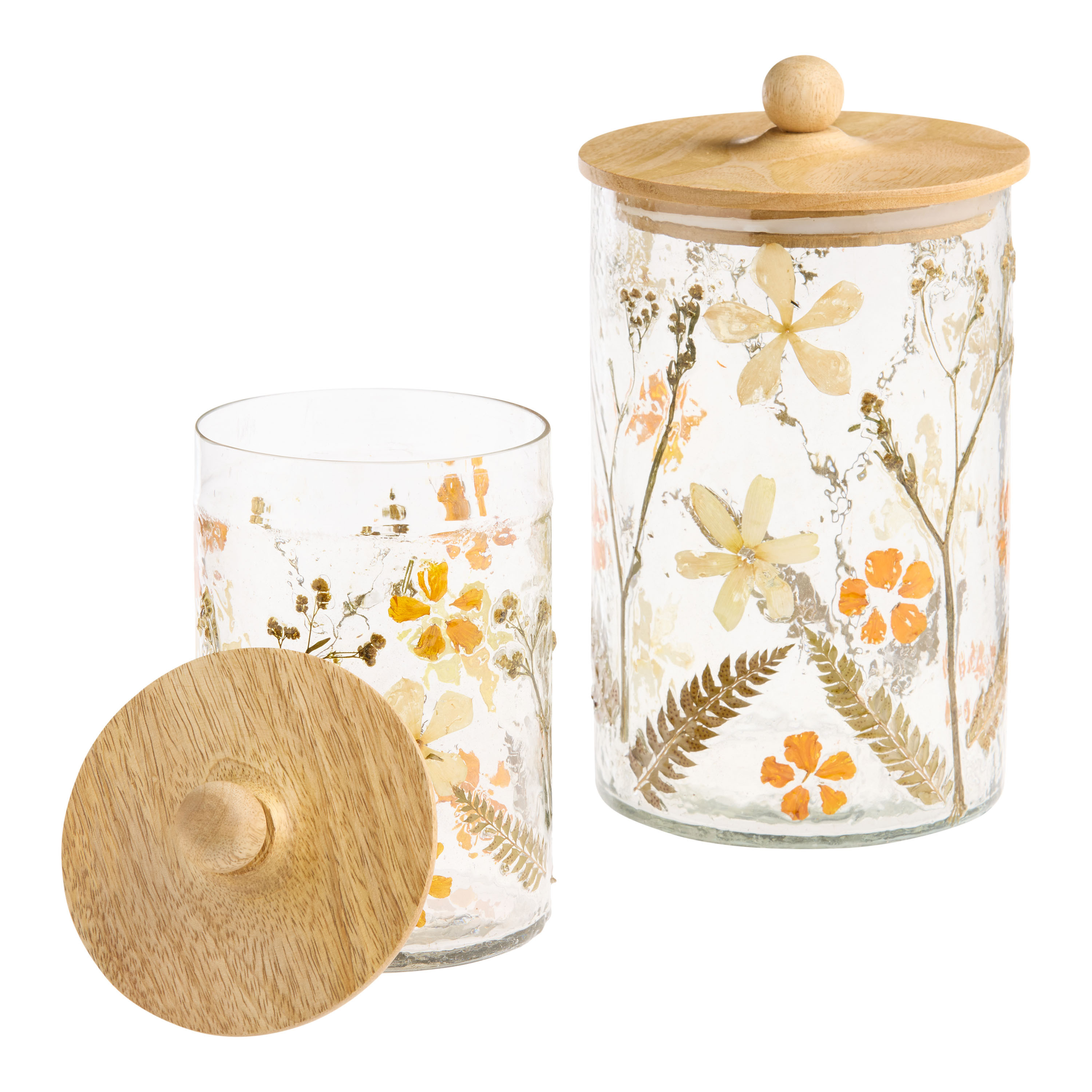 Handblown Glass and Wood Pressed Flower Storage Canister | World Market
