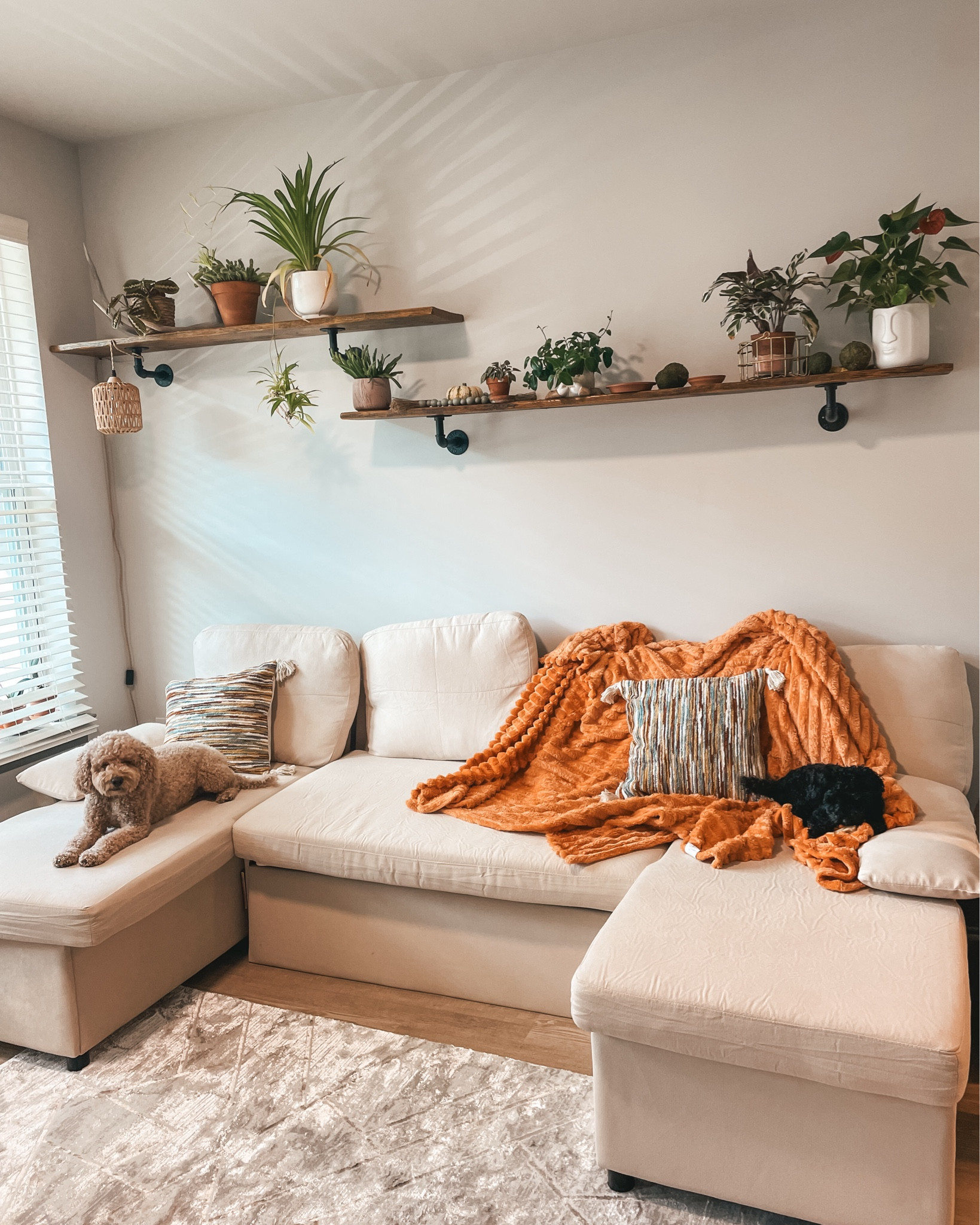 #LTKU #LTKHome #LTKSeasonal