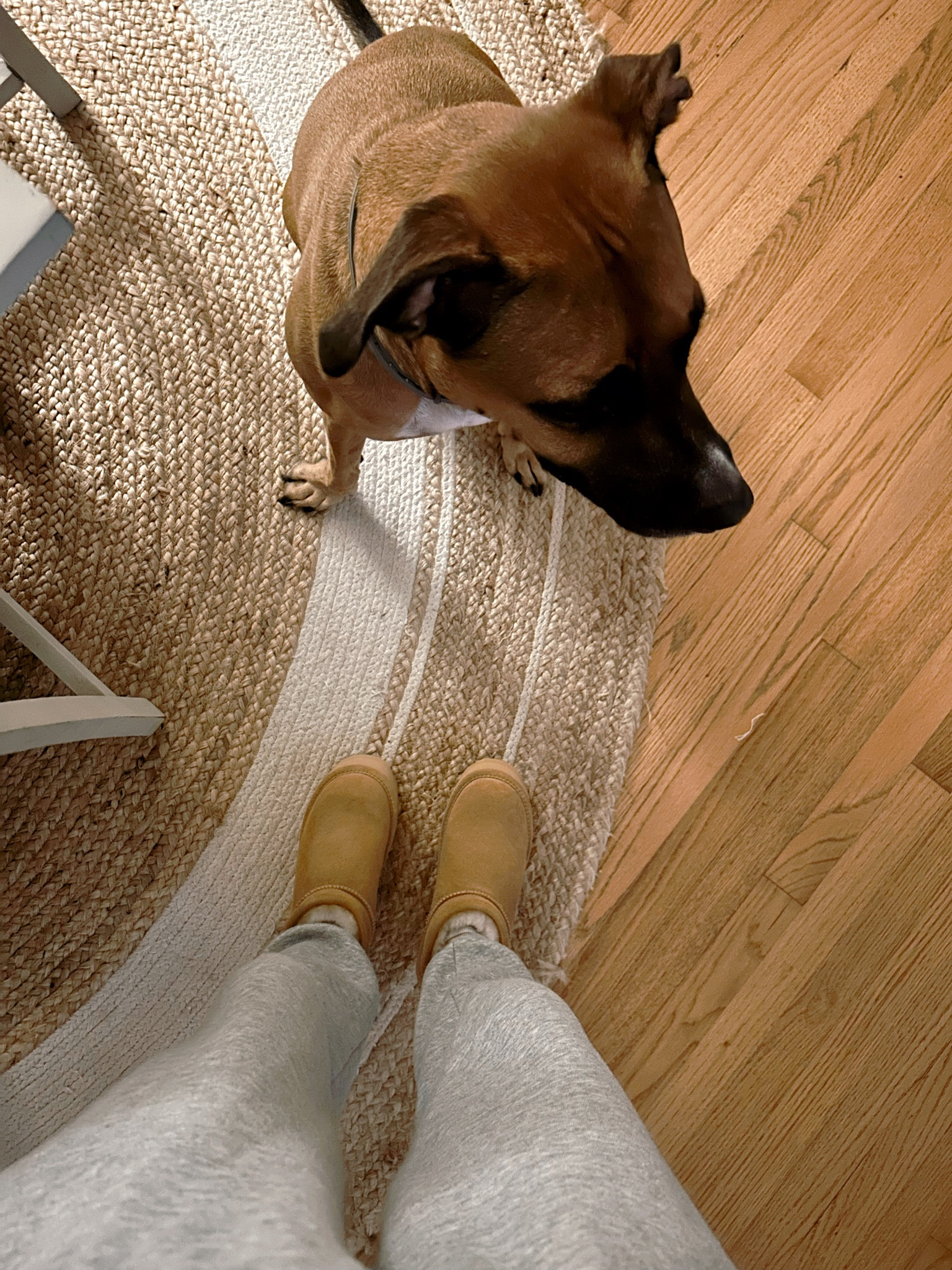 Ugg dupes

#LTKsalealert #LTKshoecrush #LTKHolidaySale