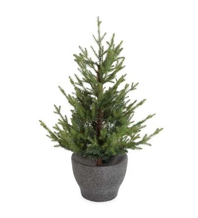 Artificial Spruce Christmas Tree with Lights | Wayfair North America