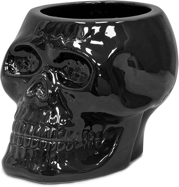 Kendiis Ceramic Succulent Planter Pot, Skull Shaped Flower Pot Head Planter Modern Style Pen Hold... | Amazon (US)