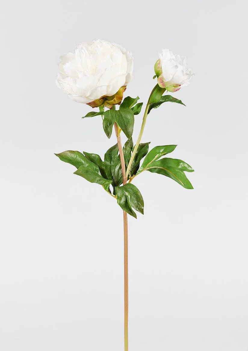 Cream Real Touch Peony Flower - 27" | Afloral
