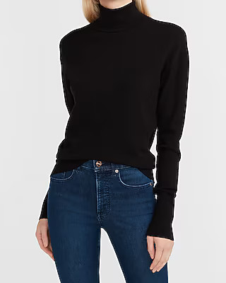 Skimming Turtleneck Sweater | Express
