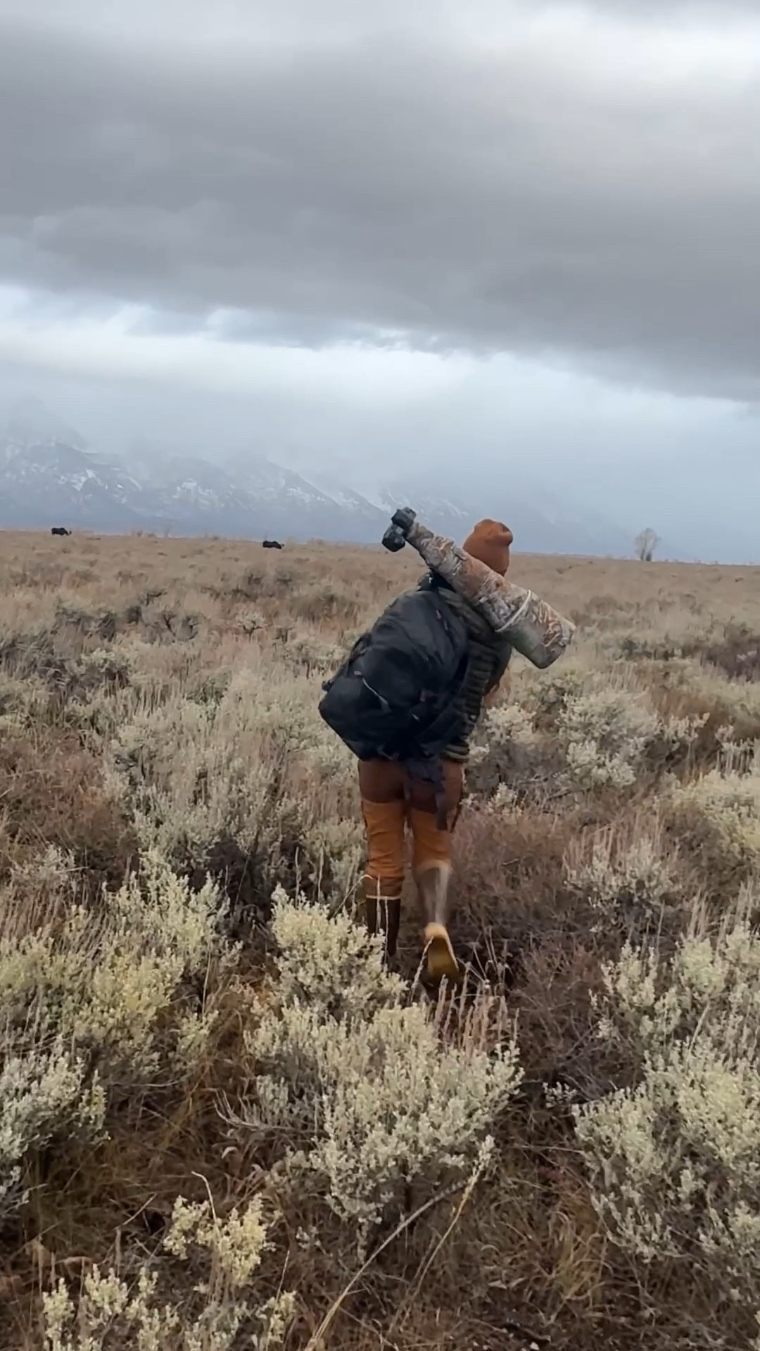 Gear from recent moose photography vlog. 

#LTKTravel #LTKActive