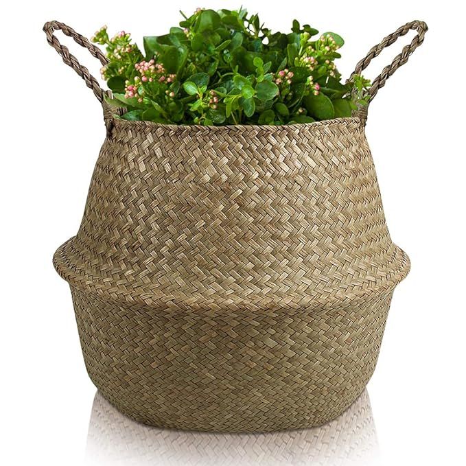 ECOZONNA Seagrass Basket - Natural Hand Woven Belly Baskets for Small Plants - Large Round Fiddle... | Amazon (US)