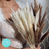 FALL SEASON | 30 Stems Tabletop Mixtures Brown and White Small Dried Pampas Grass as Boho Home Decor | Amazon (US)