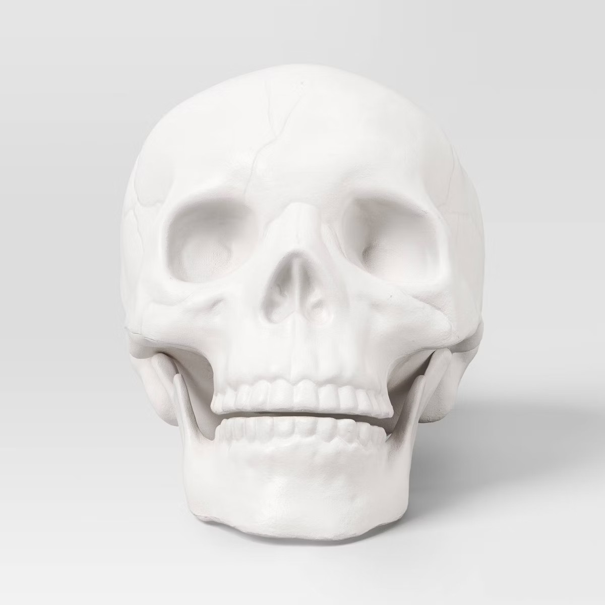 6" Skull Halloween Decorative Prop White - Hyde & EEK! Boutique™ | Target