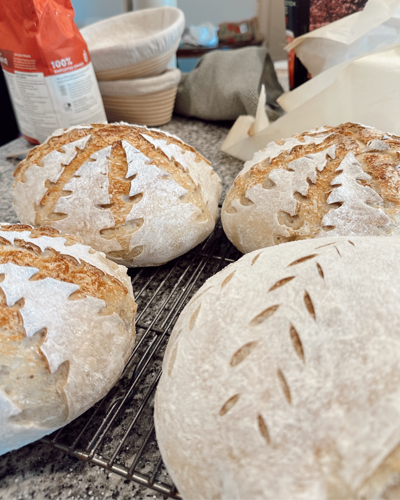 All Sourdough Links

#LTKSeasonal #LTKHome #LTKSaleAlert