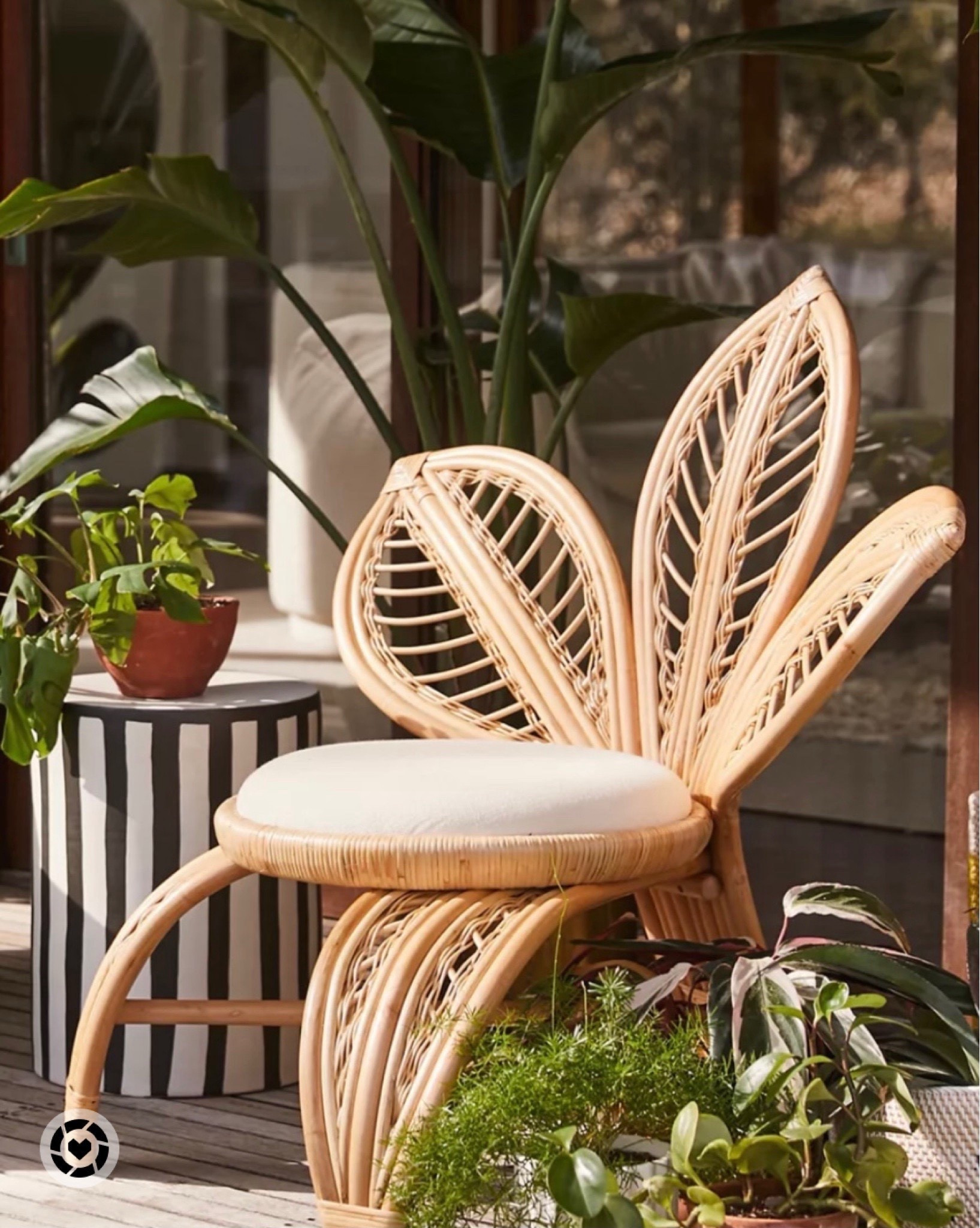 Secretsofyve: Outdoor living home decor. 
#Secretsofyve #ltkgiftguide @qvc @potterybarn
Always humbled & thankful to have you here.. 
CEO: PATESI Global & PATESIfoundation.org
 @secretsofyve : where beautiful meets practical, comfy meets style, affordable meets glam with a splash of splurge every now and then. I do LOVE a good sale and combining codes! #ltkstyletip #ltkholiday #ltksalealert #ltku #ltkfindsunder100 #ltkfindsunder50 secretsofyve

#LTKKids #LTKSeasonal #LTKHome