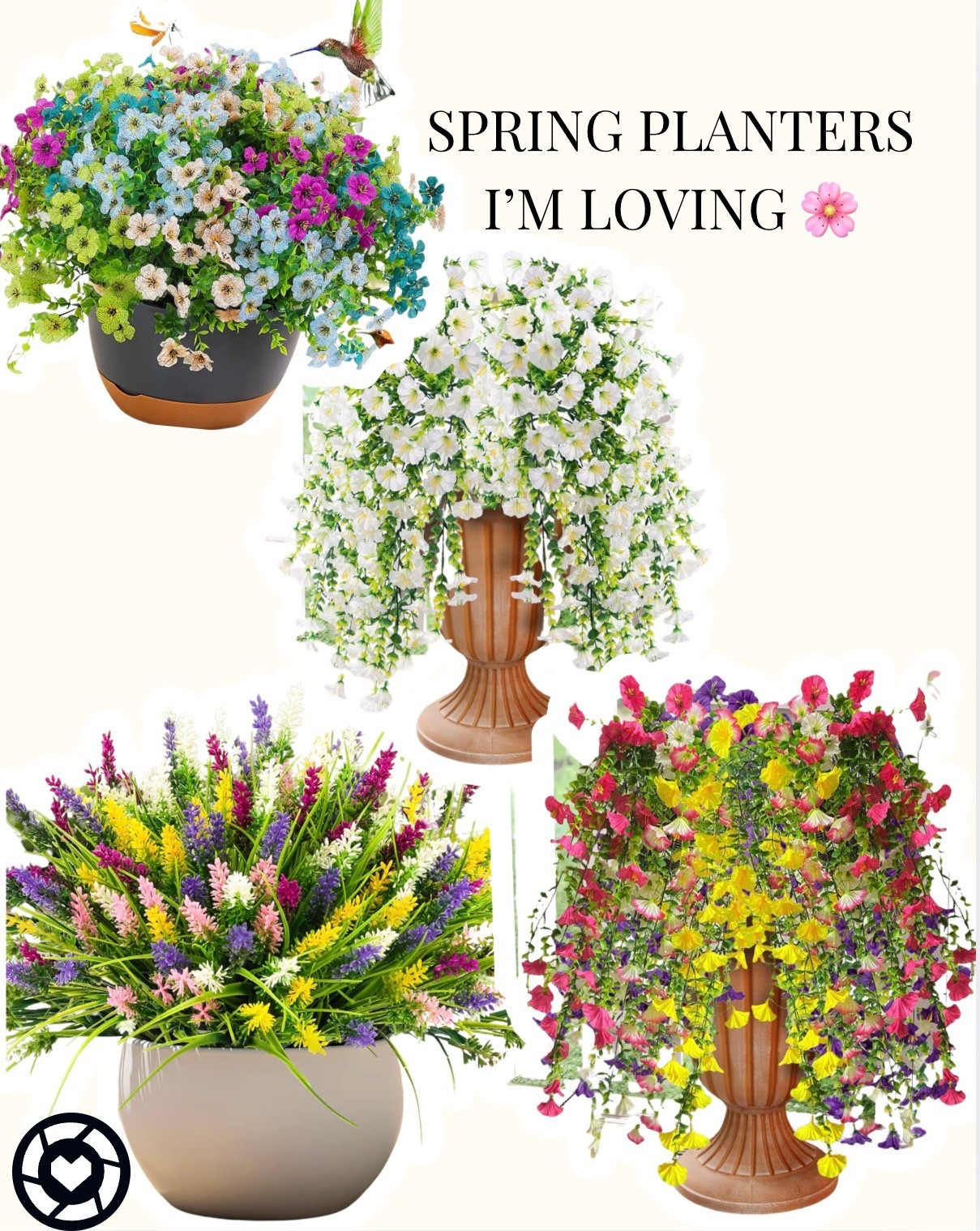 Spring is coming and I’ve been loving how a simple planter refresh can instantly brighten a space 🌸

These are some of the prettiest options I’ve found lately — from soft neutrals to colorful cascading florals. Perfect for entryways, patios, kitchen corners, or anywhere that needs a little life.

👉🏾 Tap to shop your favorite — the white cascading one is STUNNING in person.

#LTKHome
#LTKSeasonal
#LTKStyleTip
#SpringRefresh
#HomeDecorFinds
#PlanterDecor
#SpringDecorIdeas


#LTKHome #LTKOver40 #LTKSeasonal