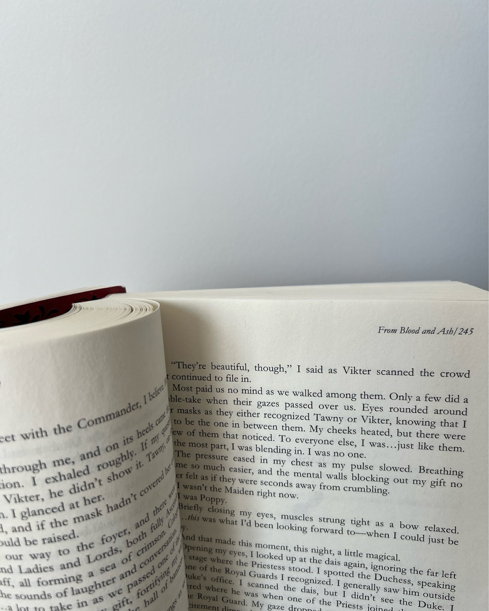 “To everyone else, I was…just like them.” @jennifer_l_armentrout 

A new week, a new book.

——
From Blood and Ash Jennifer L. Armentrout, current reads, new books, book aesthetic, Pinterest aesthetic #fbaa #frombloodandash #jenniferlarmentrout #fantasyromancebooks #fantasybooks #fantasyseries