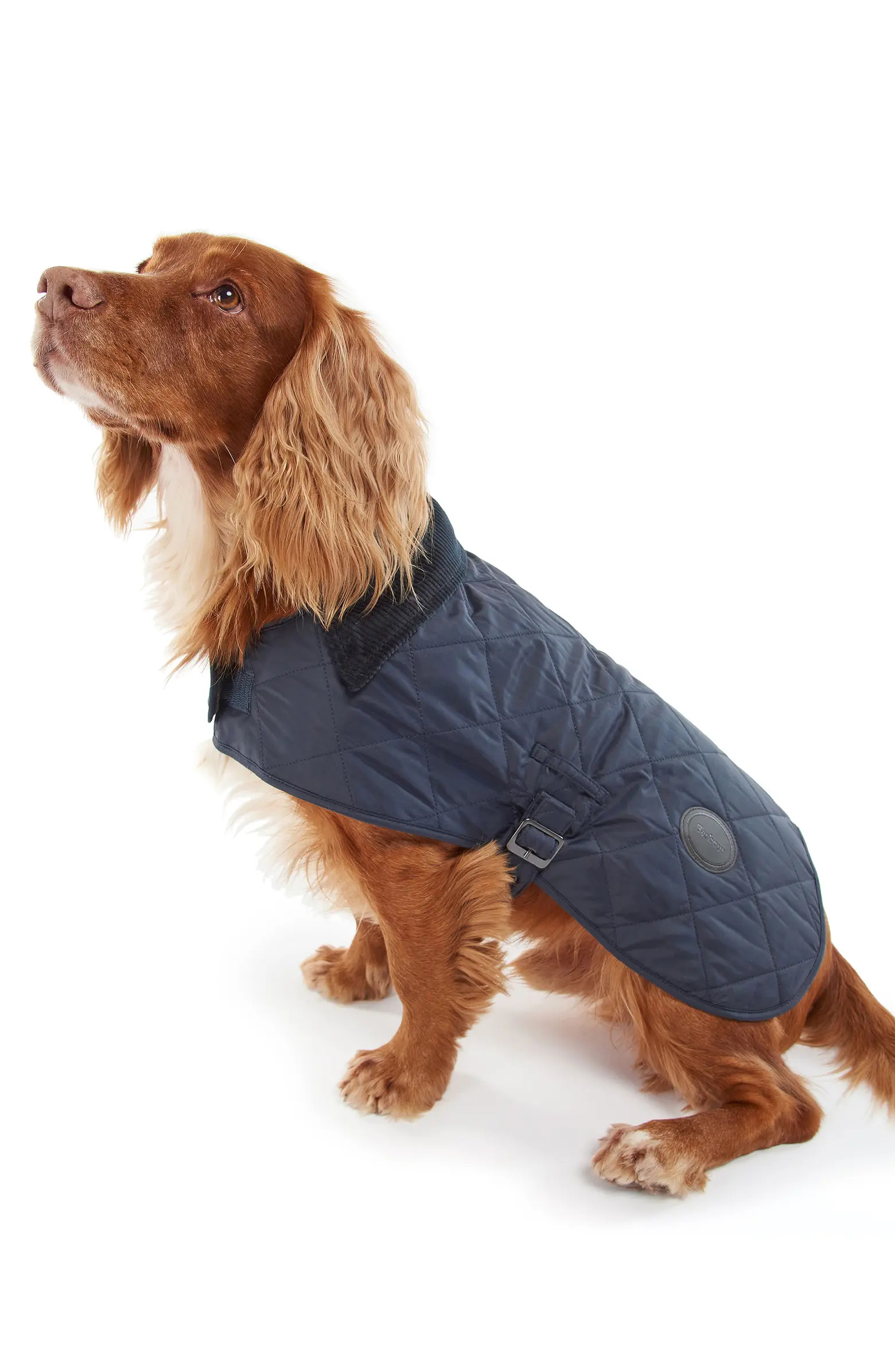 Barbour Quilted Dog Coat | Nordstrom | Nordstrom