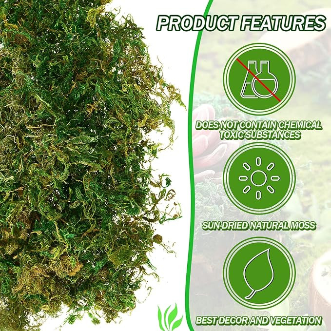 28 Oz Natural Green Sheet Moss Preserved Moss Terrarium Moss Green Moss Decor for Plant Crafts Fl... | Amazon (US)
