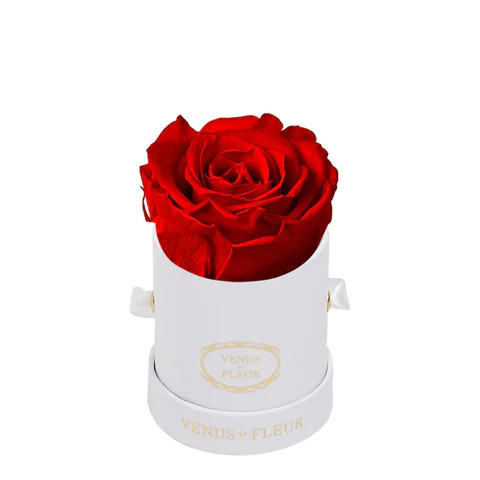 Le Mini™ Round | Venus ET Fleur