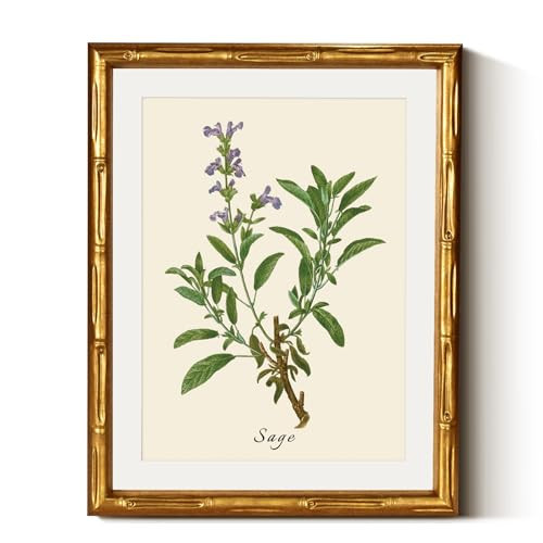 InSimSea Gold Bamboo Framed Canvas Wall Art, Vintage Watercolor Sage Herbs Prints, Antique Picture Frame with Mat, Victorian Home Wall Decor for Kitchen Dining Living Room Bedroom, 11x14inch | Amazon (US)