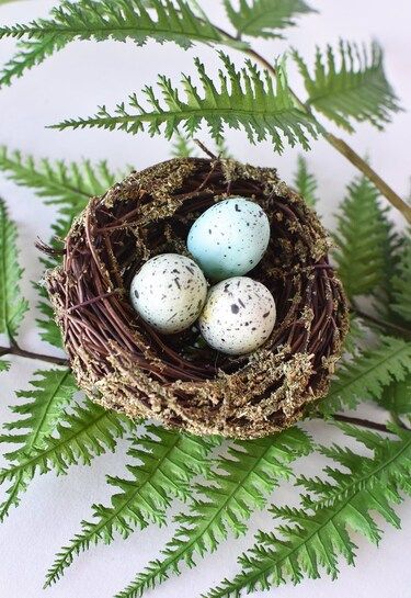 Faux Bird Nest with Blue Assorted Eggs | Michaels Stores