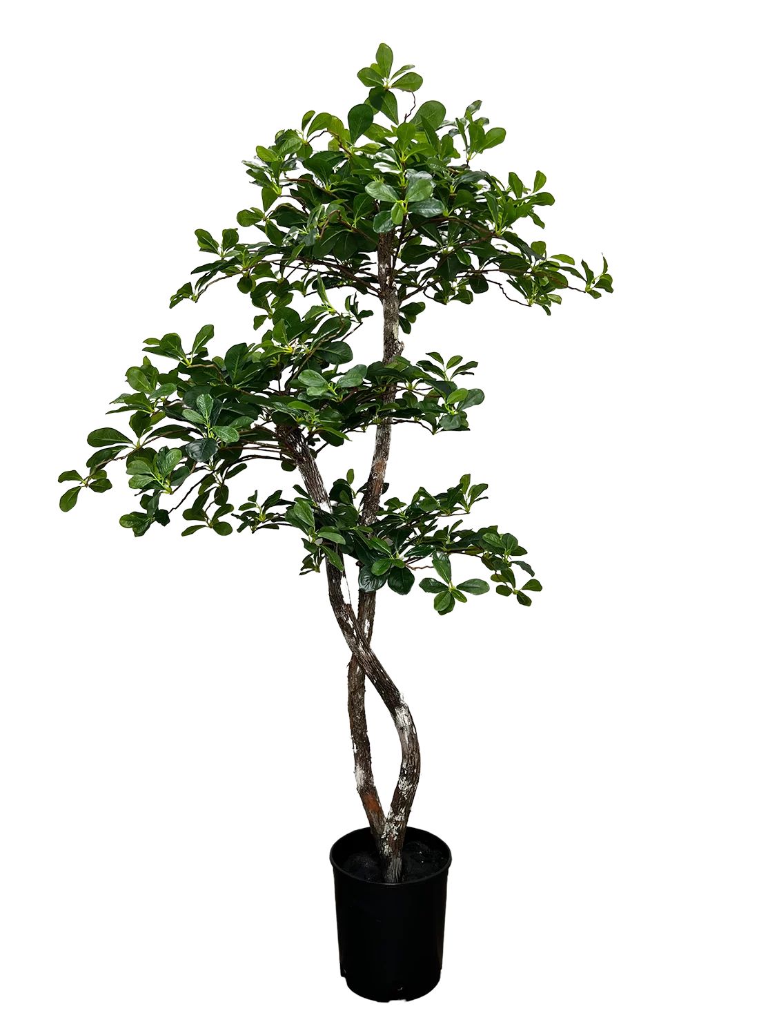 Fresh Italian Black Olive Leaf 5' Artificial Tree | Walmart (US)