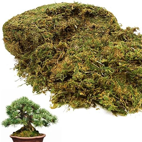 35 OZ Large Capacity Artificial Moss for Potted Plants, Moss for Fake Plants Indoor, Natrual Moss... | Amazon (US)