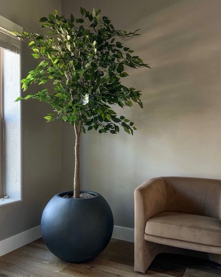 Faux tree must have that is super affordable yet looks realistic and is absolutely stunning. 
Battery operated lighting to elevate the look… love seeing them all lit at night 
Round planter …linking less pricey ones I own and love as well
Amazon home 
Target side chairs 


#LTKHome #LTKFamily #LTKStyleTip
