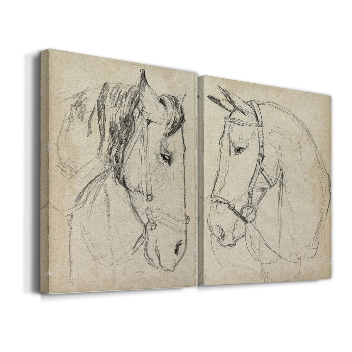 " Horse In Bridle Sketch I " 2 - Pieces (Set of 2) | Wayfair North America