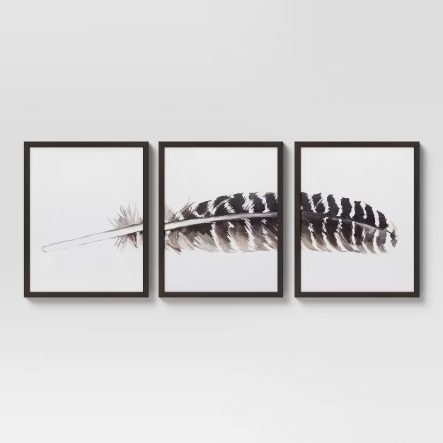 (Set of 3) 16" x 20" Feather Framed Wall Art - Threshold™ | Target